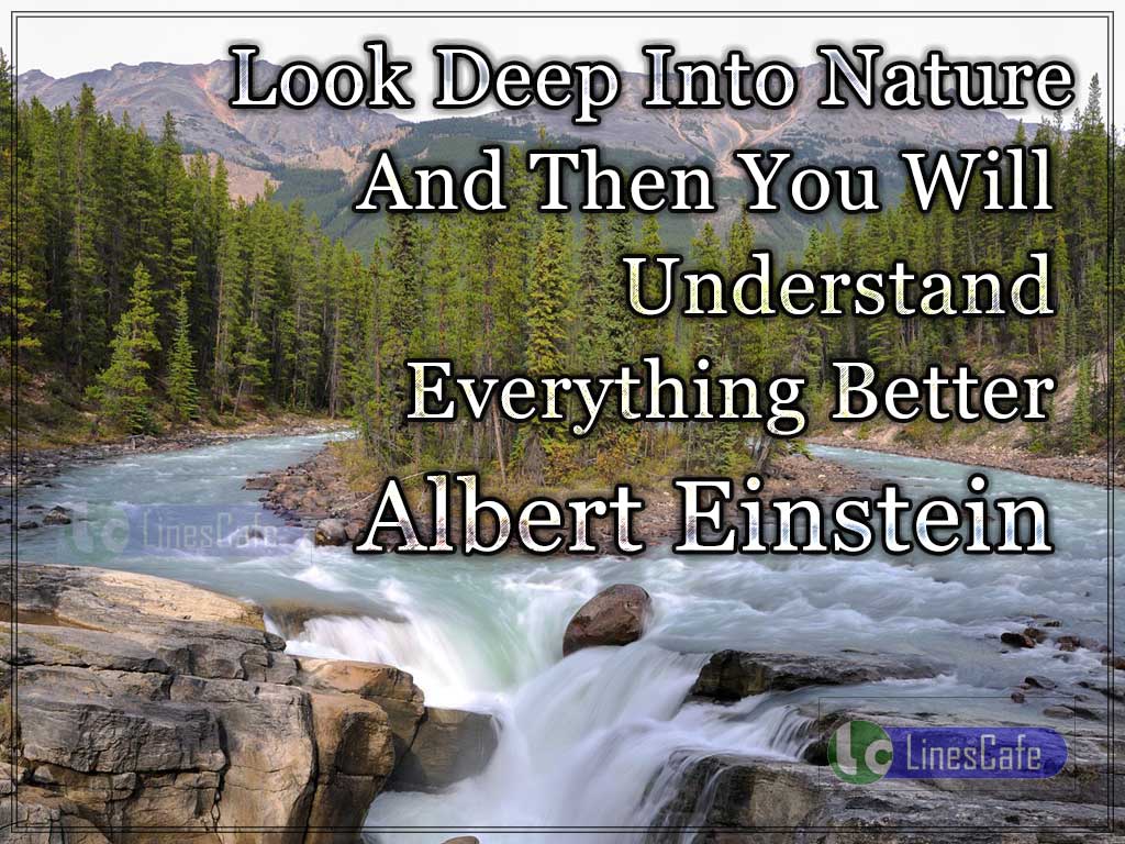 Albert Einsten's Quotes About Nature