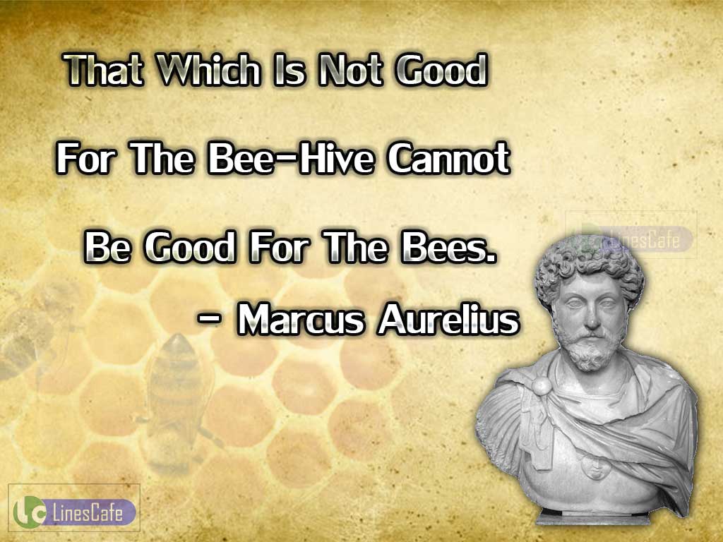 Marcus Aurelius's Quotes On Bees