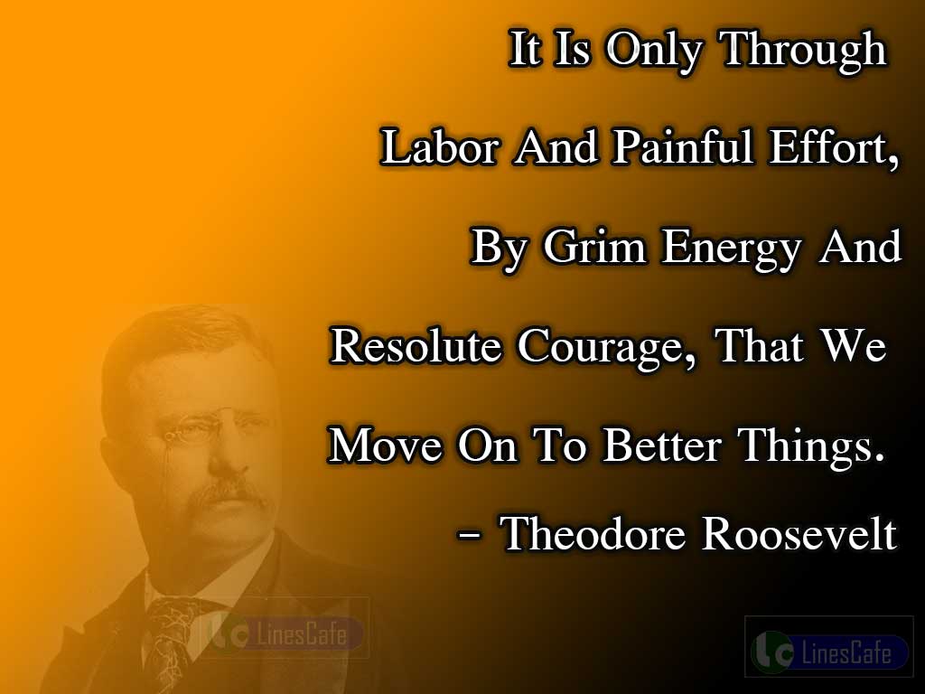 Theodore Roosevelt's Quotes On Efforts And Energy