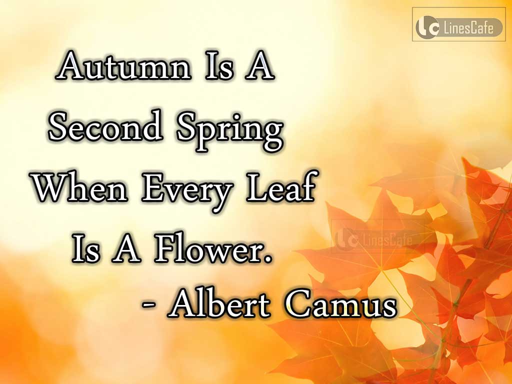 Albert Camus's Pretty Quotes On Autumn