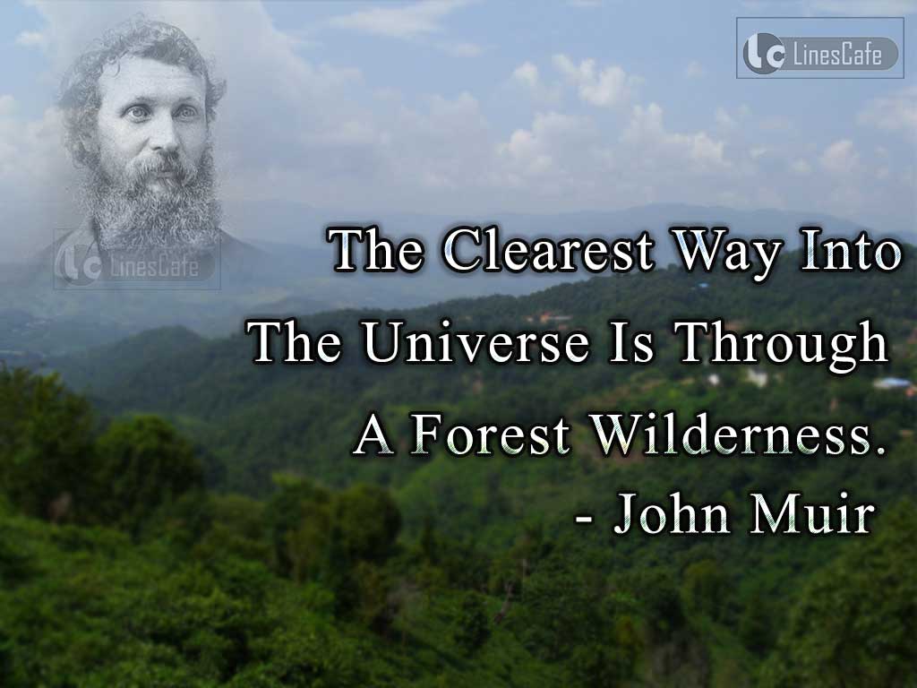 John Muir's quotes On Importance Of Forest